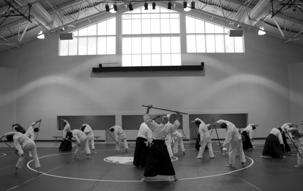 Tipos de artes marciales